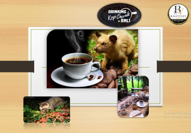 Kopi Luwak