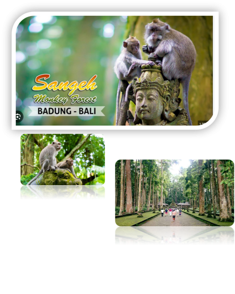 Sangeh Monkey Forest