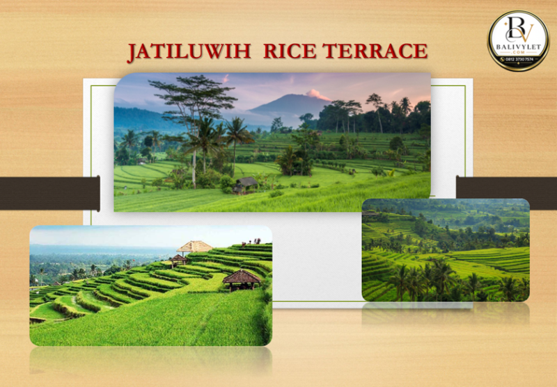 Jatiluwih Rice Terracces 